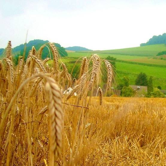 KJG Essen bei Nestlé in Frankfurt
