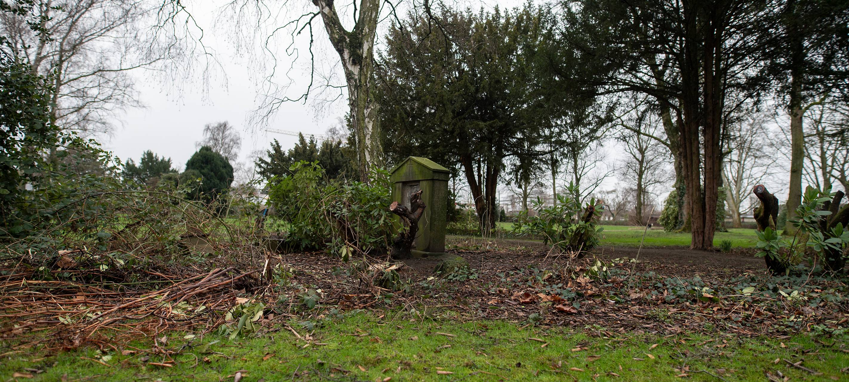 Spindelmannpark in Essen-Altenessen