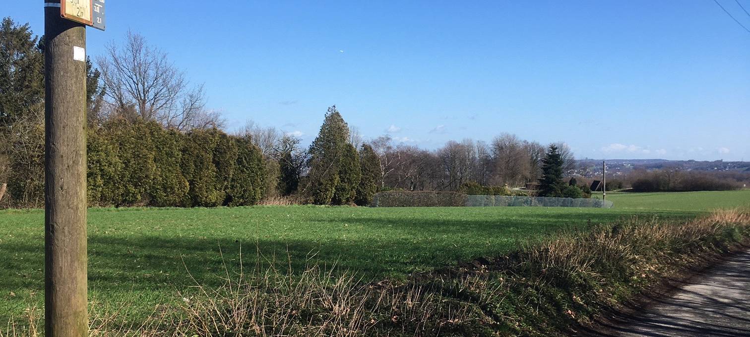 Ausblick vom höchsten Punkt in Essen