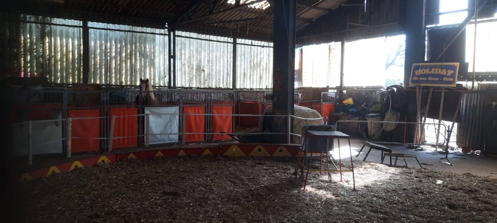 Corona in Essen: Drei Zirkusfamilien leiden in Essen unter den Folgen