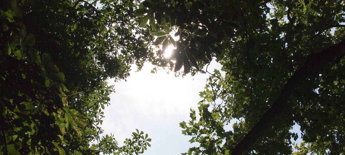 Halden-Hopping durch Essen und quer durch das Ruhrgebiet