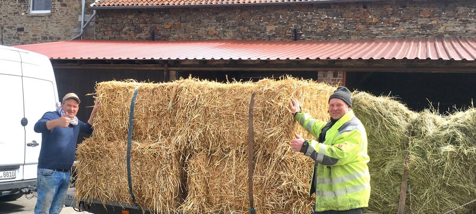Corona in Essen: Drei Zirkusfamilien leiden in Essen unter den Folgen