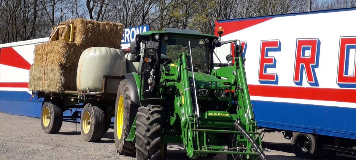 Corona in Essen: Drei Zirkusfamilien leiden in Essen unter den Folgen