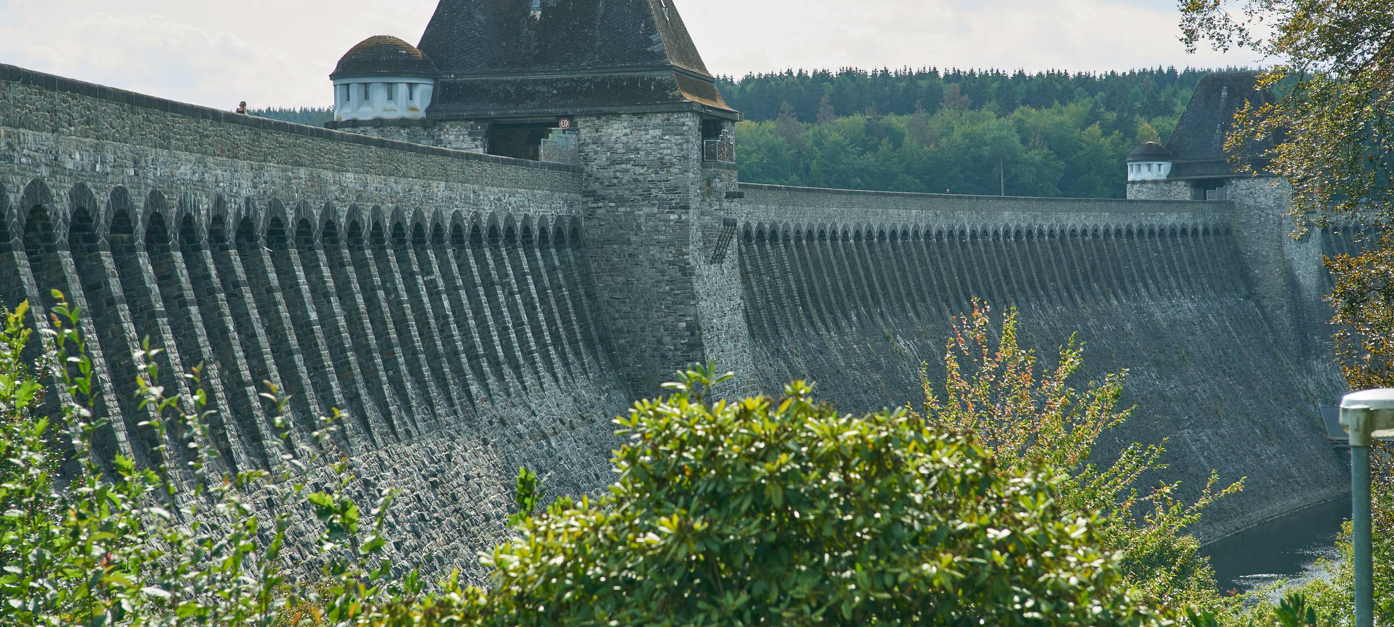 Wälder in Essen vom Klimawandel bedroht