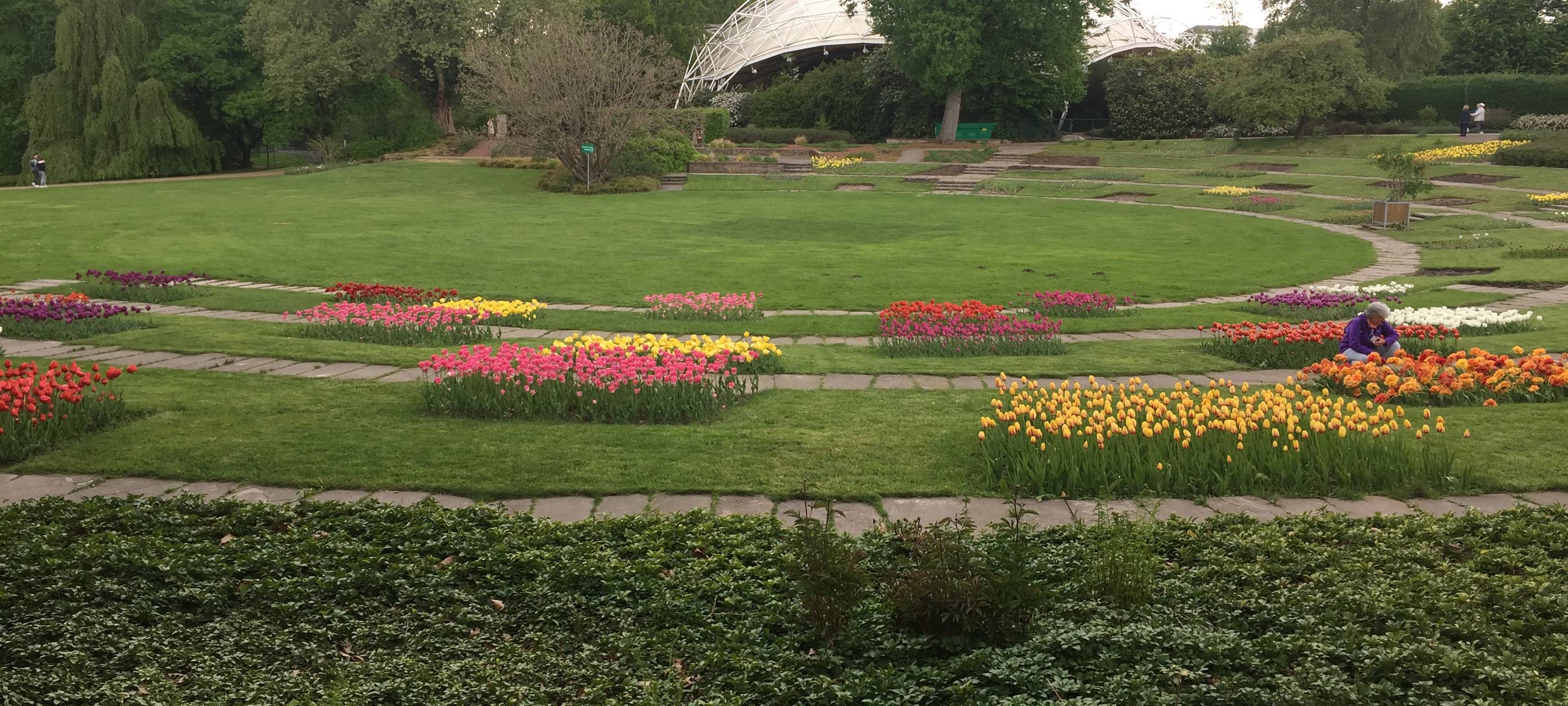 Grugapark in Essen nach Corona-Zwangspause wieder geöffnet