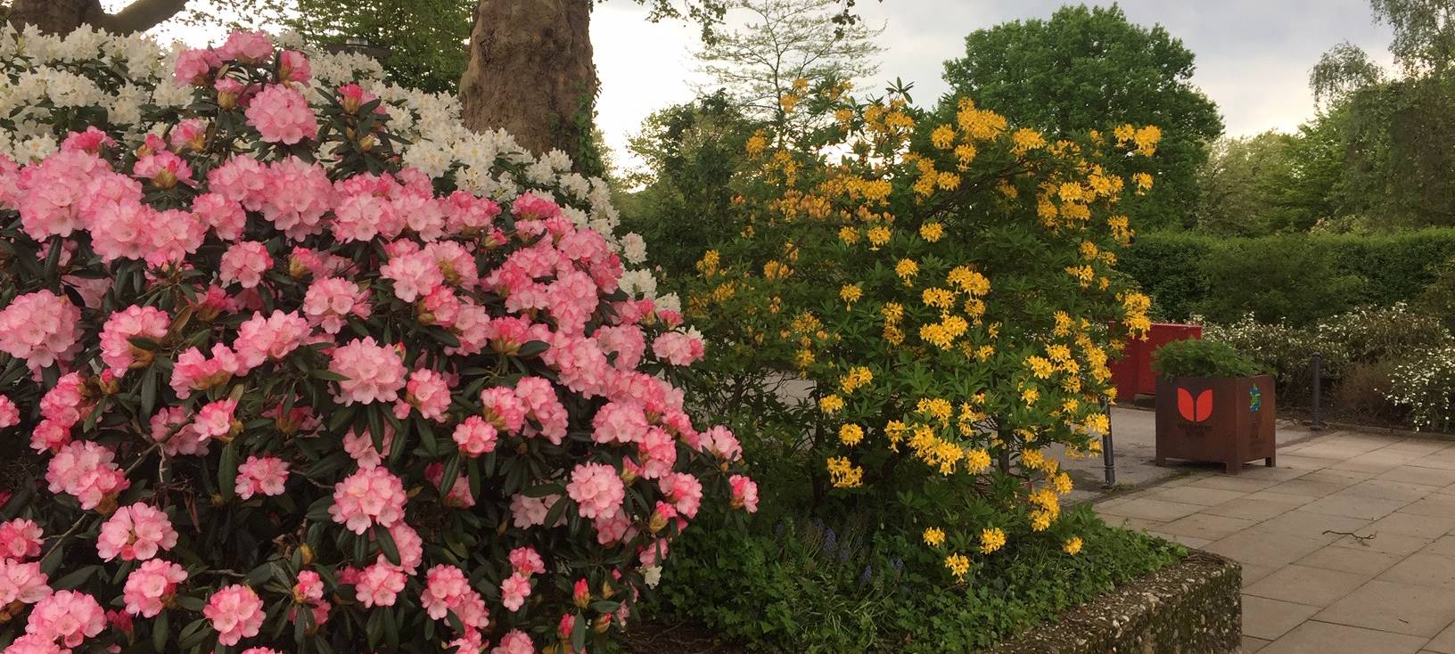 Grugapark in Essen nach Corona-Zwangspause wieder geöffnet