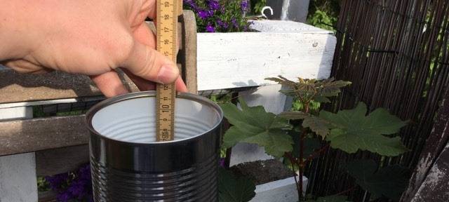 bienenhotel-selbermachen_radio-essen