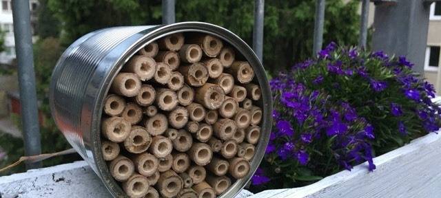 bienenhotel-selbermachen_radio-essen