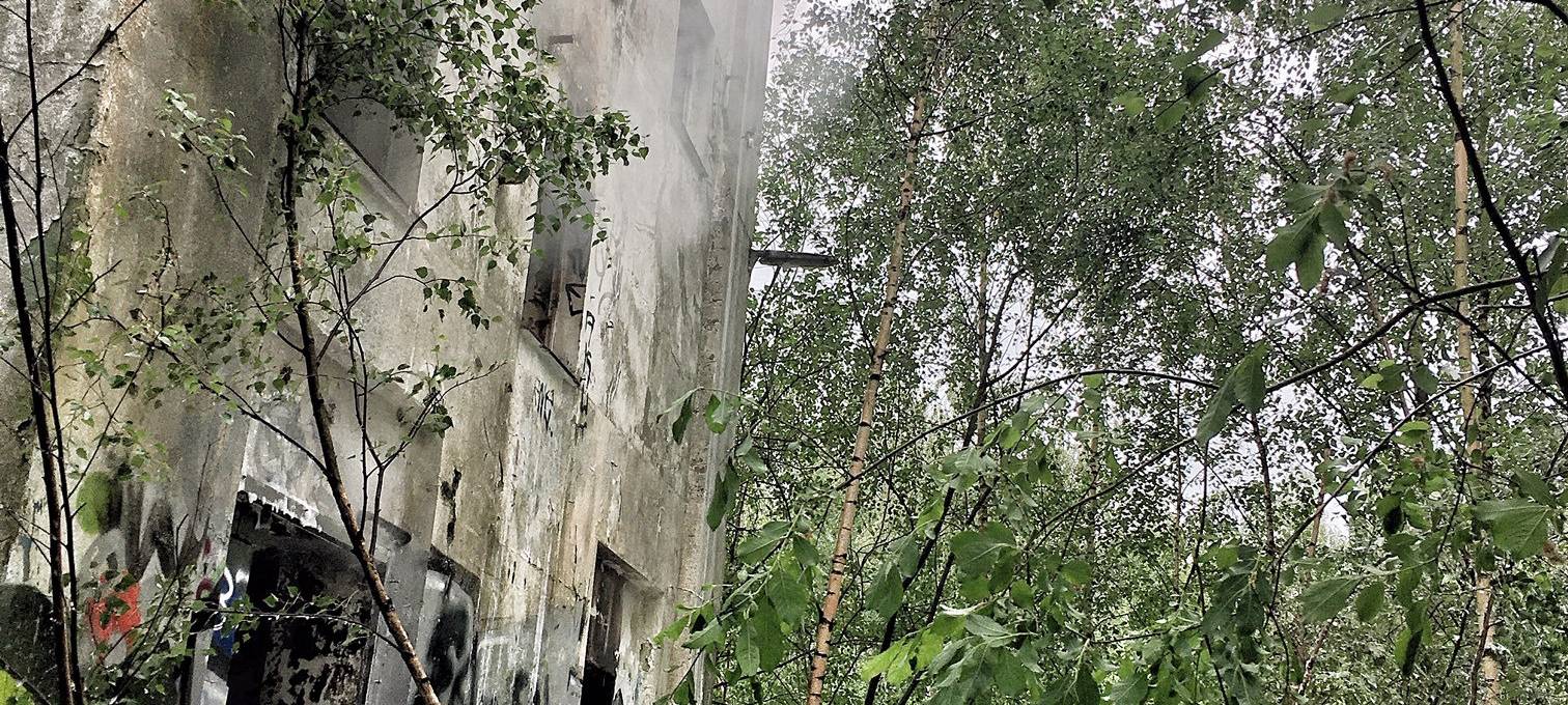 Feuer in alter Pommesfabrik in Essen-Horst