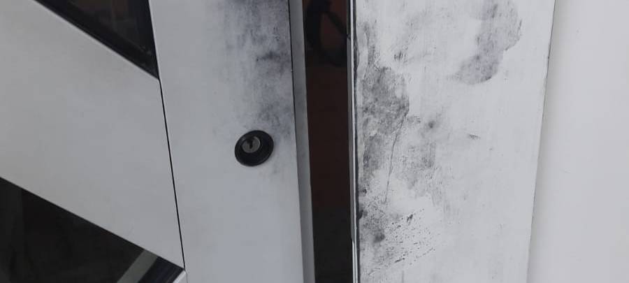 Einbruch in Essen: Chihuahua vertreibt Einbrecher