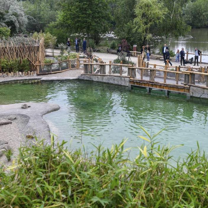 pinguine bootssafari in der zoom erlebniswelt gelsenkirchen radio essen