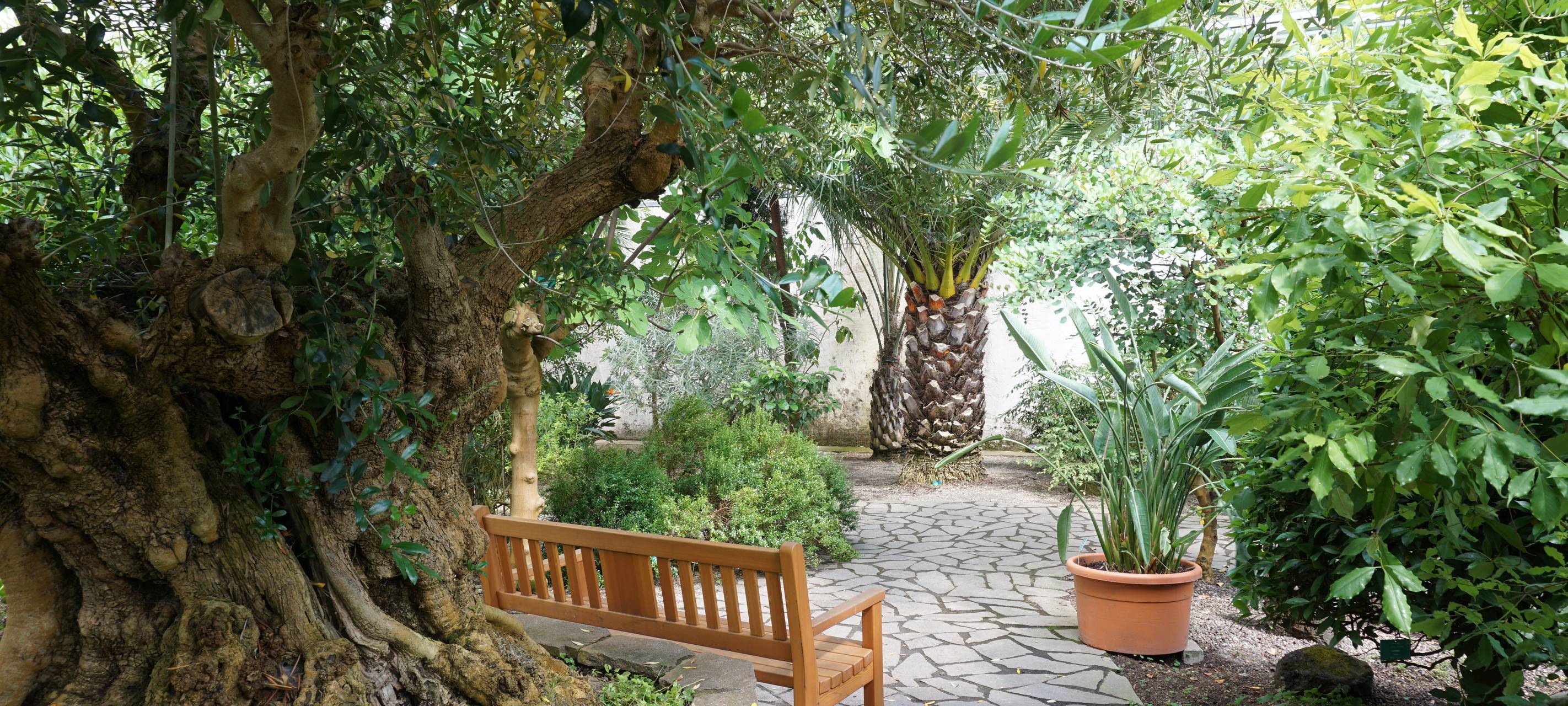 Essen: Sommer im Gruga Park