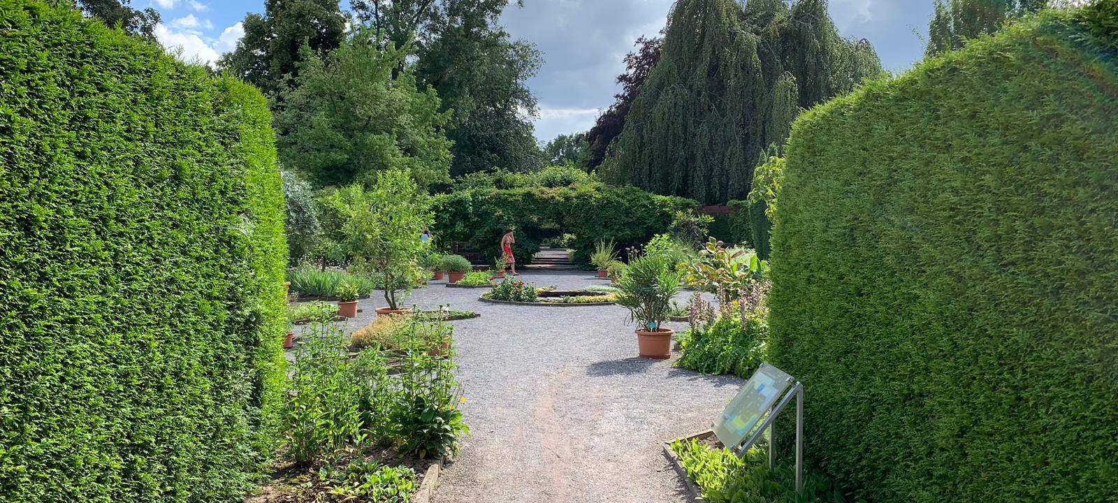 Essen: Sommer im Gruga Park