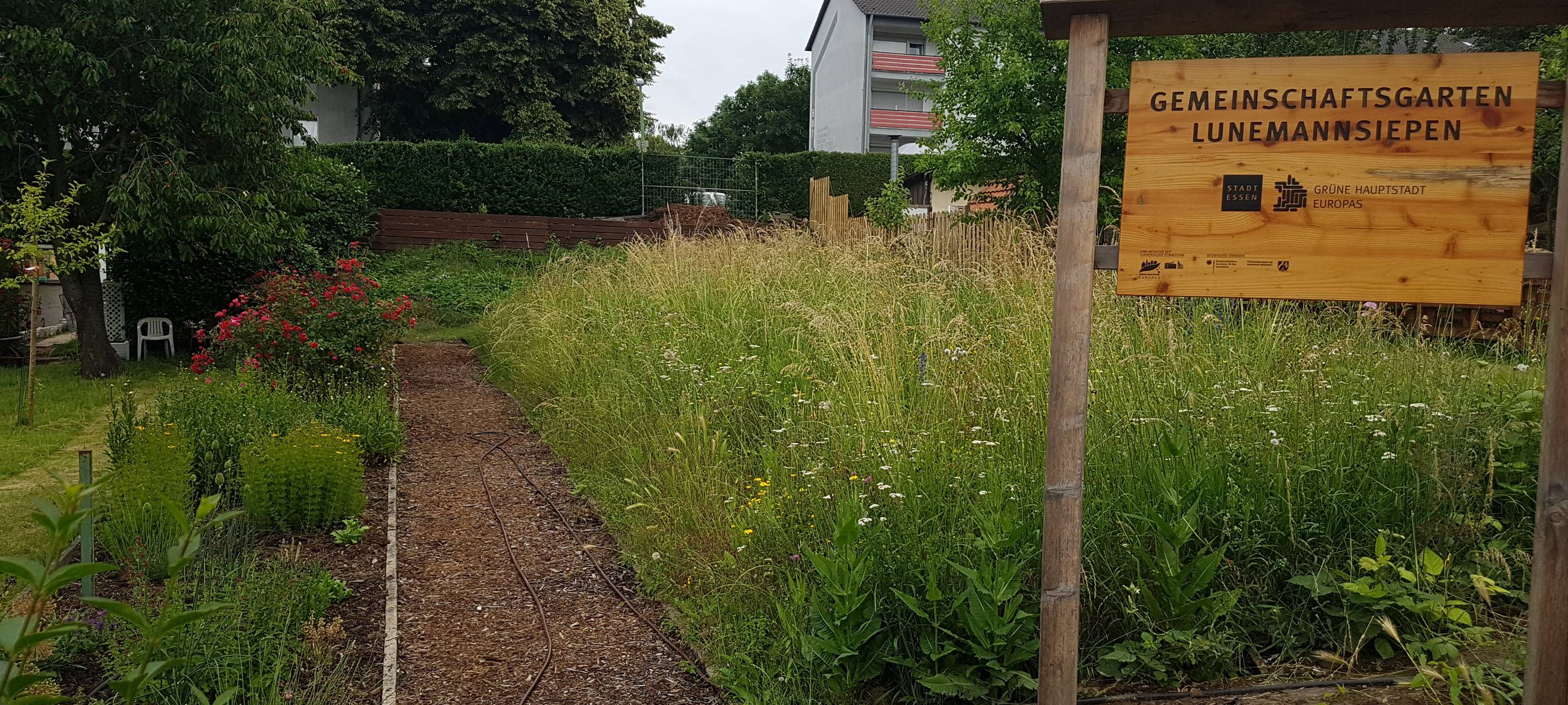 Radio Essen sucht: Essens schönste Urlaubs-Oase