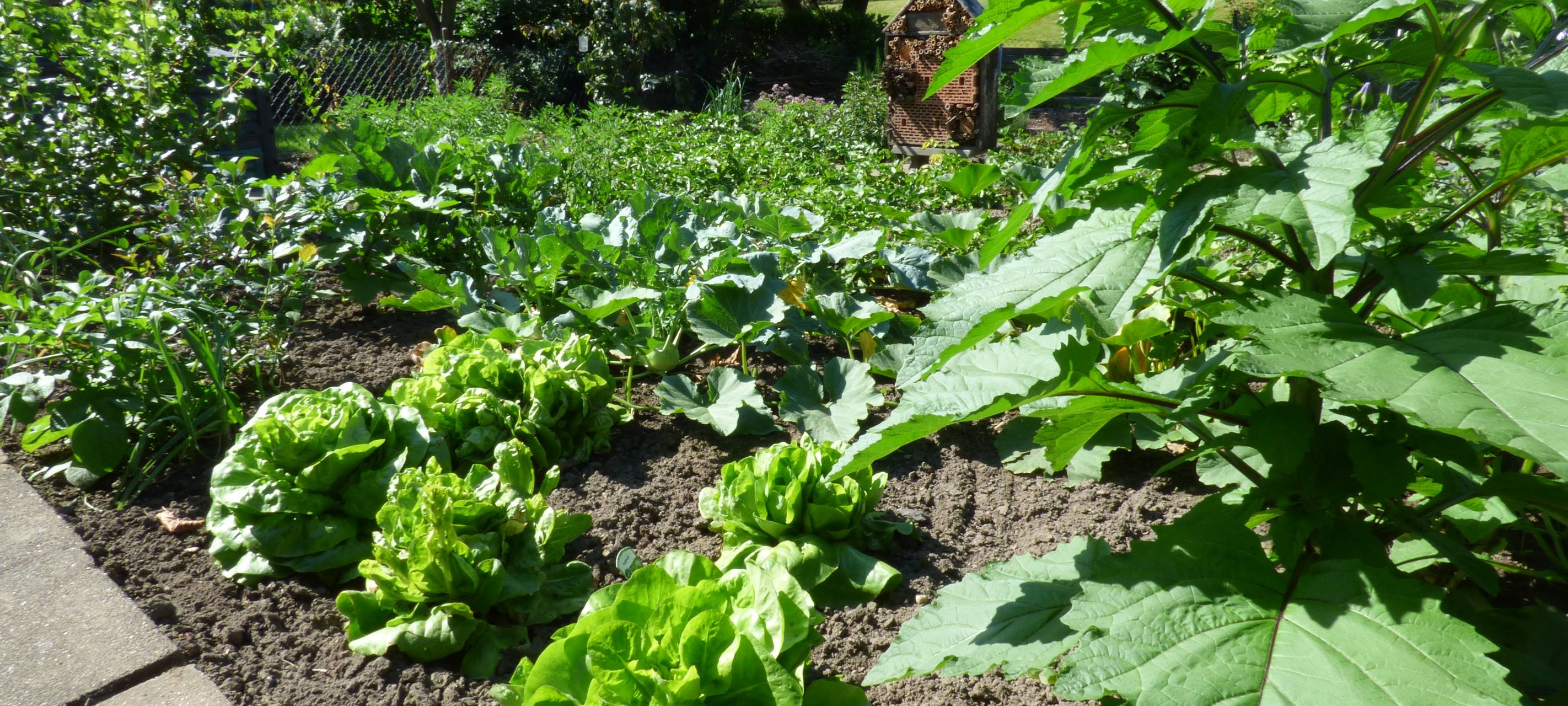 Essens schönste Urlaubs-Oase: Gewinner steht fest!