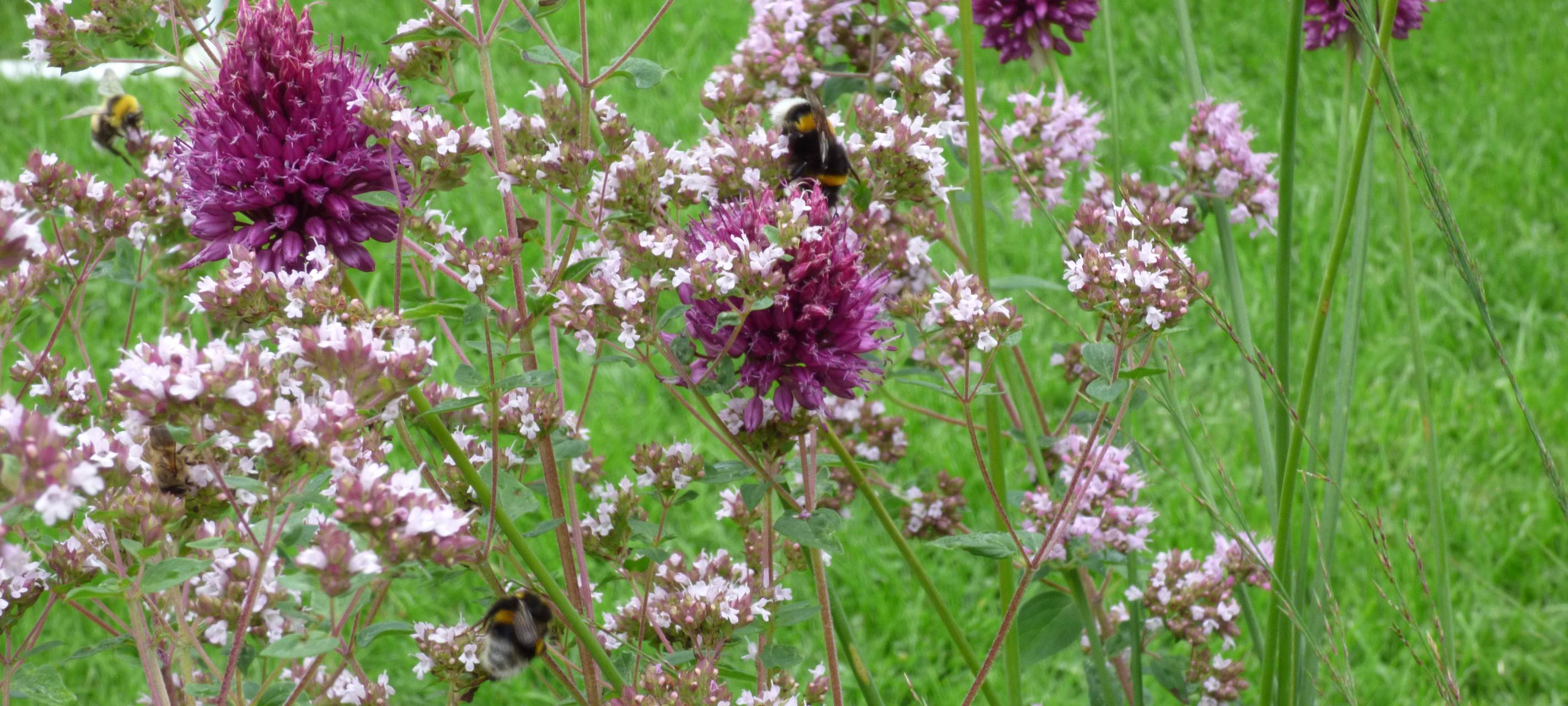 Essens schönste Urlaubs-Oase: Gewinner steht fest!