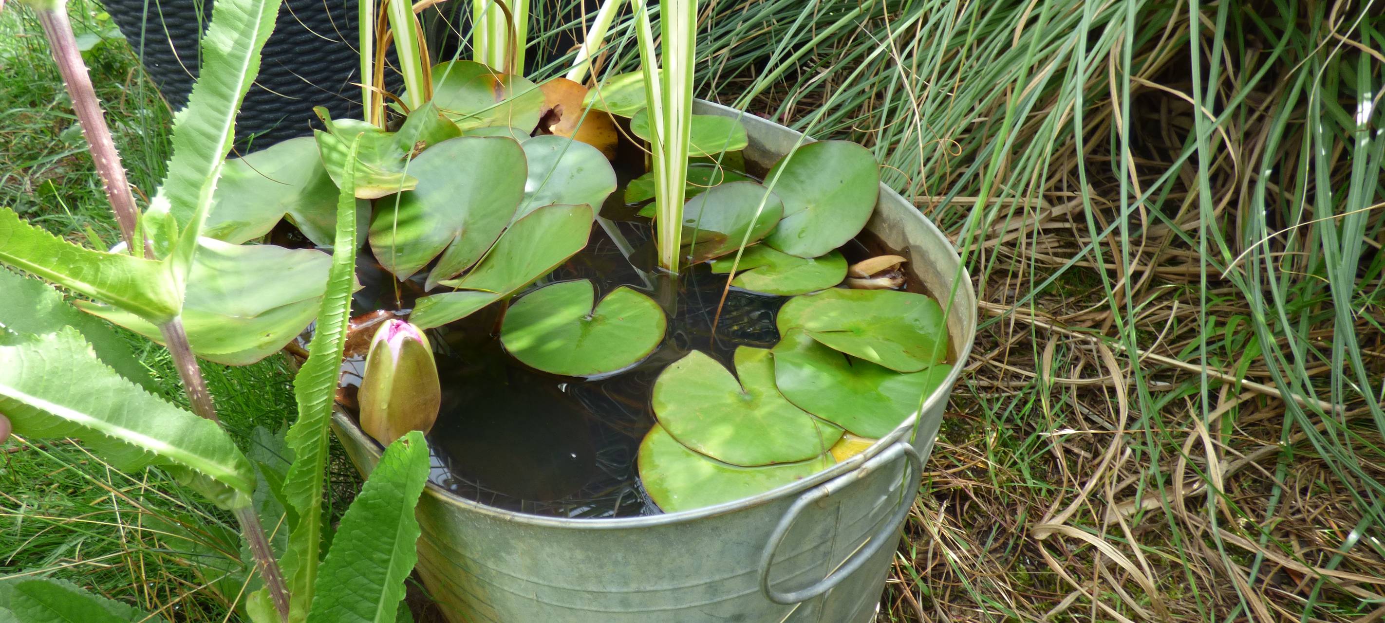 Essens schönste Urlaubs-Oase: Gewinner steht fest!