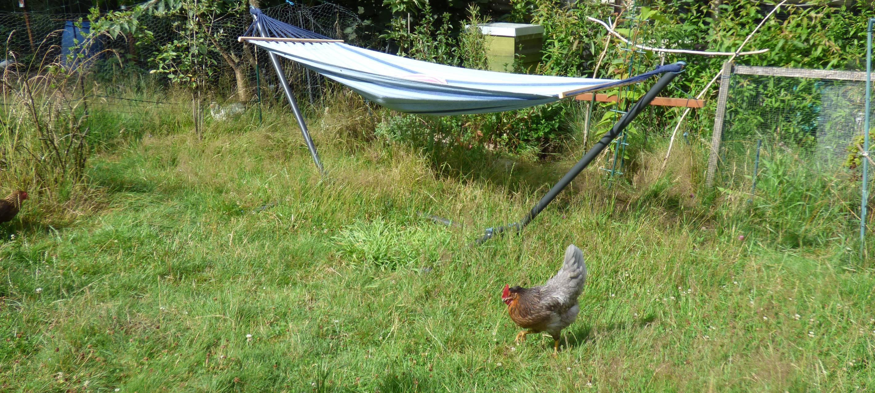 Essens schönste Urlaubs-Oase: Gewinner steht fest!