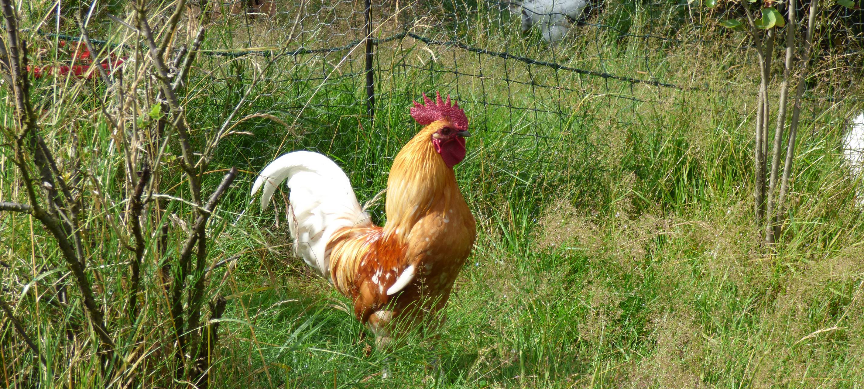 Essens schönste Urlaubs-Oase: Gewinner steht fest!