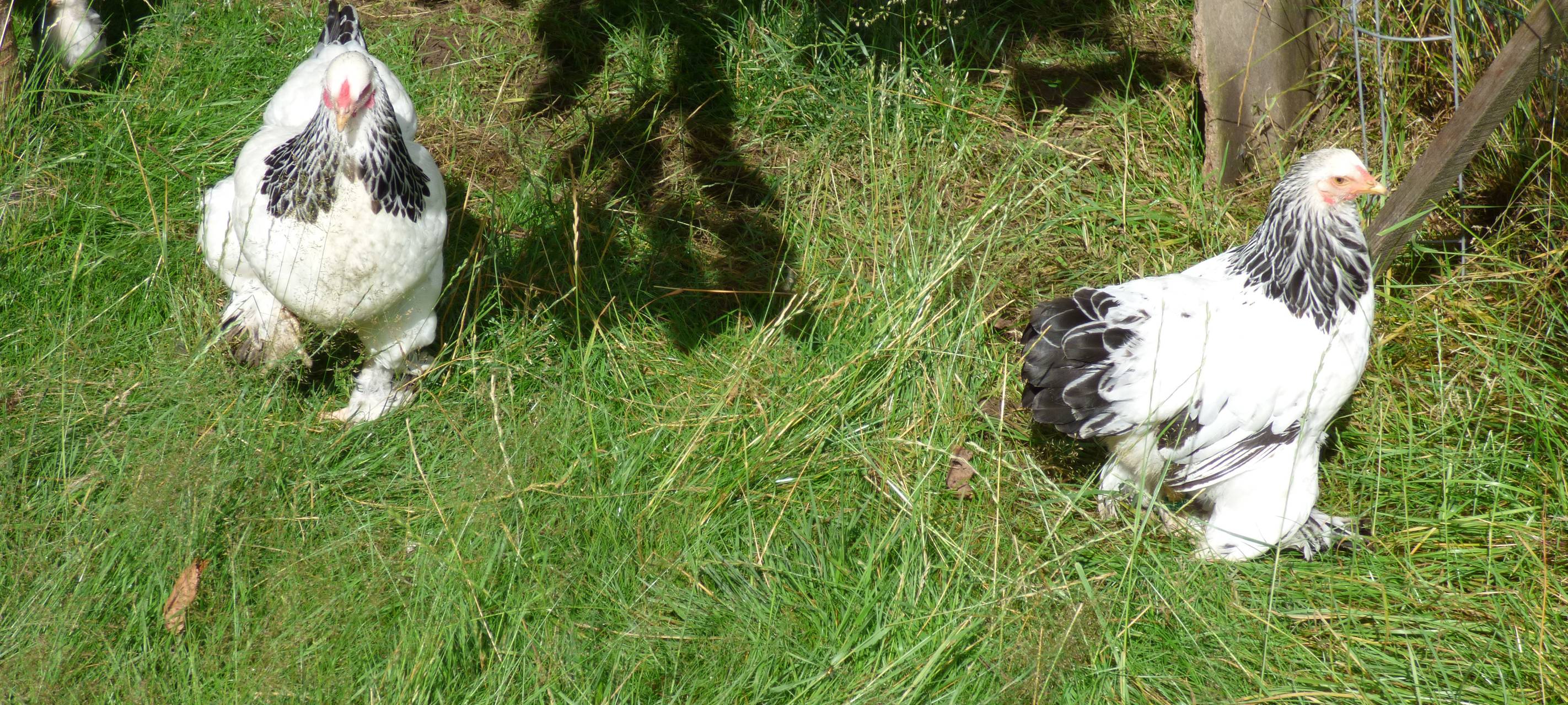 Essens schönste Urlaubs-Oase: Gewinner steht fest!