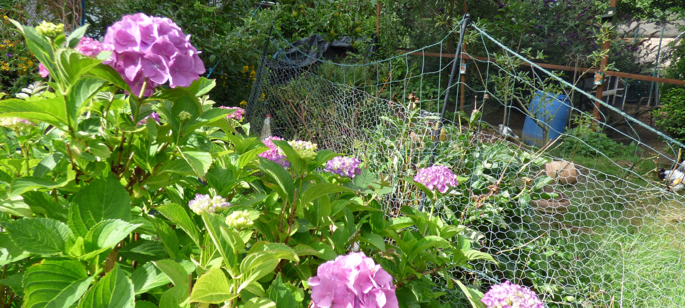 Essens schönste Urlaubs-Oase: Gewinner steht fest!