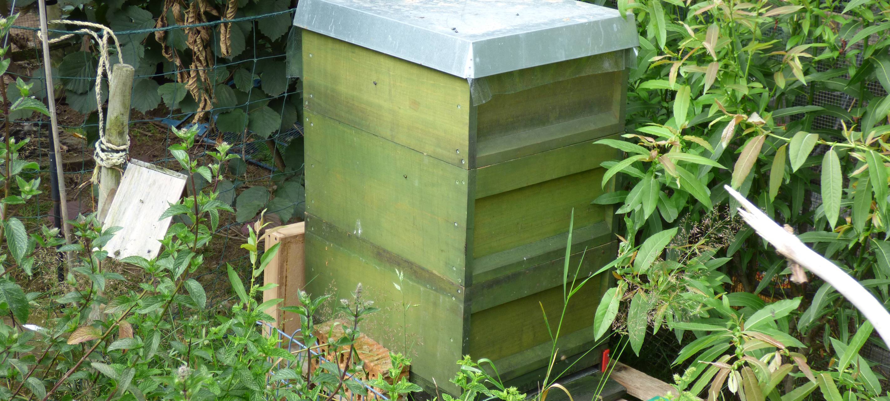 Essens schönste Urlaubs-Oase: Gewinner steht fest!