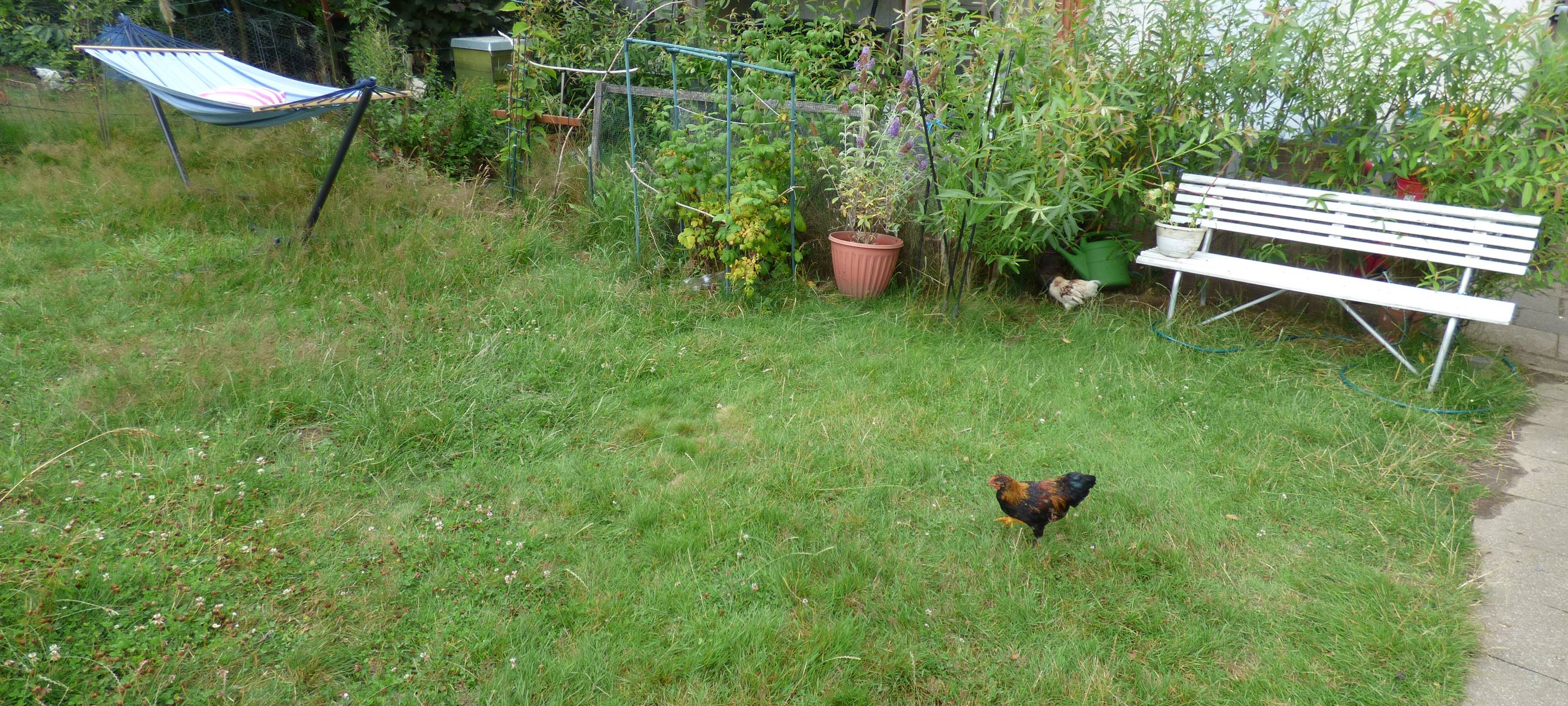 Essens schönste Urlaubs-Oase: Gewinner steht fest!