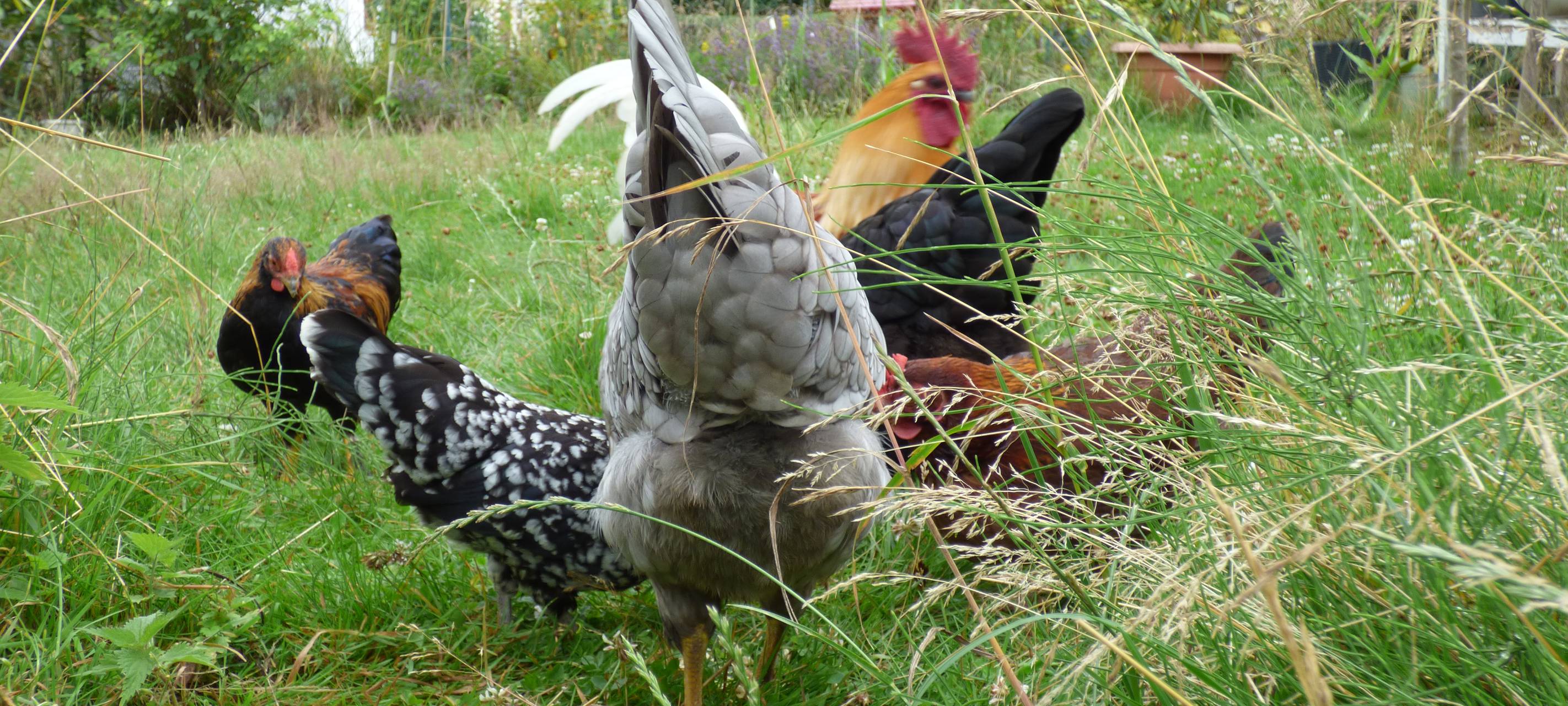 Essens schönste Urlaubs-Oase: Gewinner steht fest!