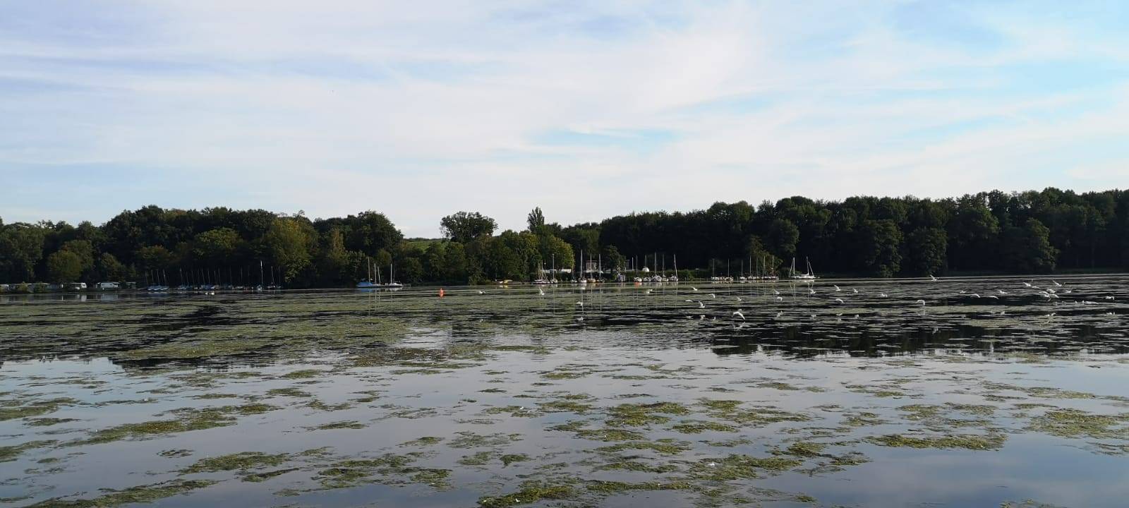 Essen: Hochwasser an der Ruhr