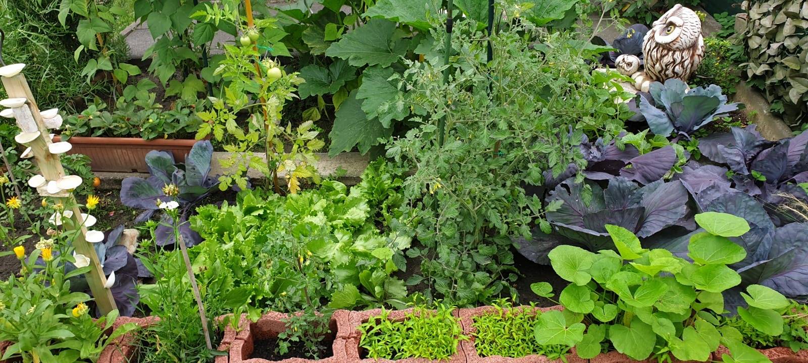 Essens schönste Urlaubs-Oase: Gewinner steht fest!