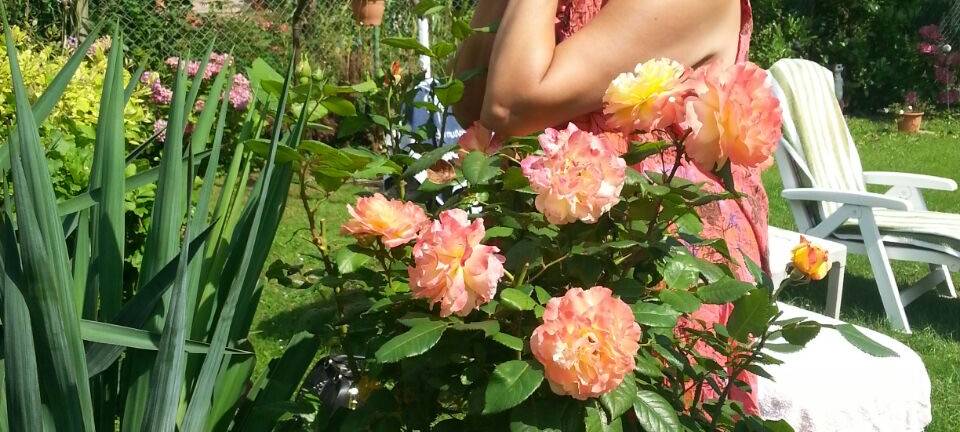 Essens schönste Urlaubs-Oase: Gewinner steht fest!