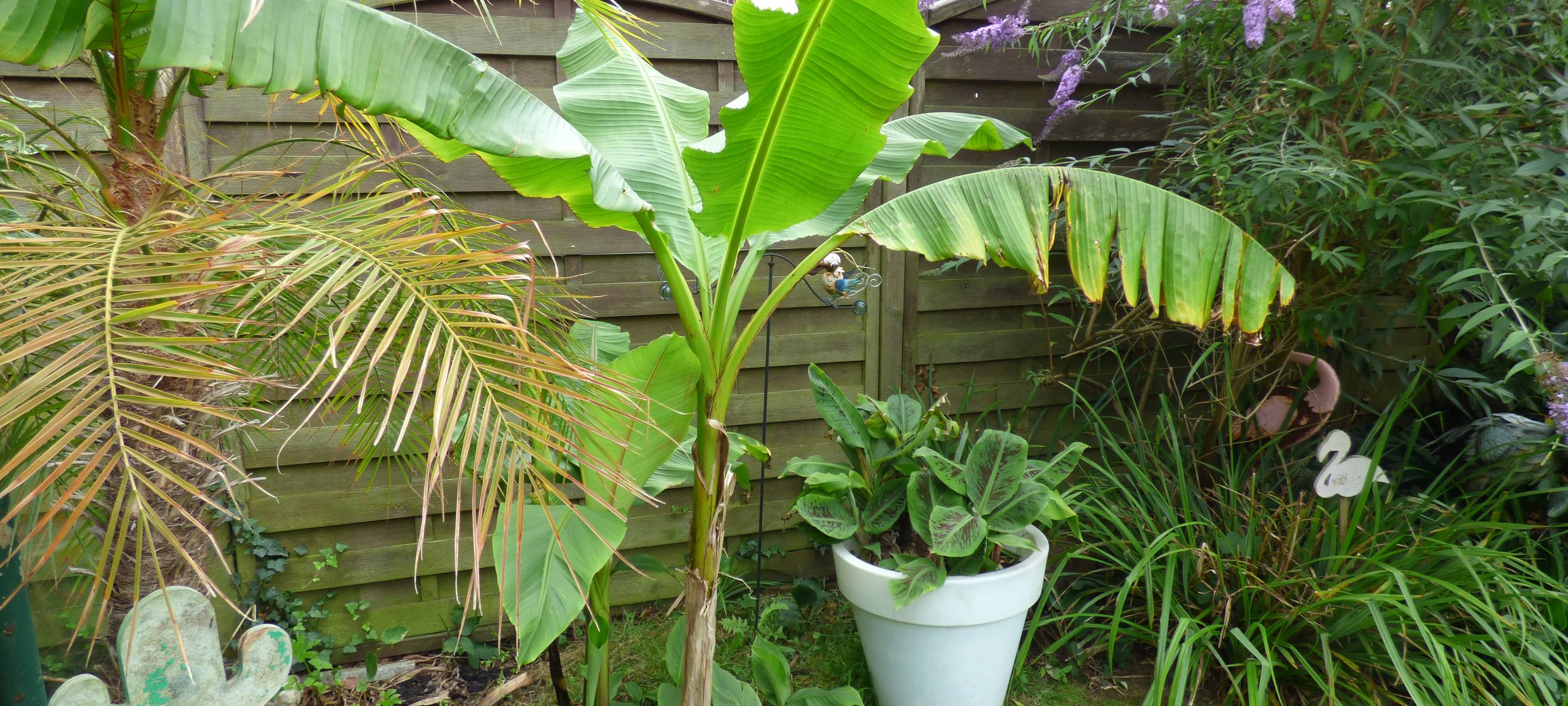 Essens schönste Urlaubs-Oase: Gewinner steht fest!