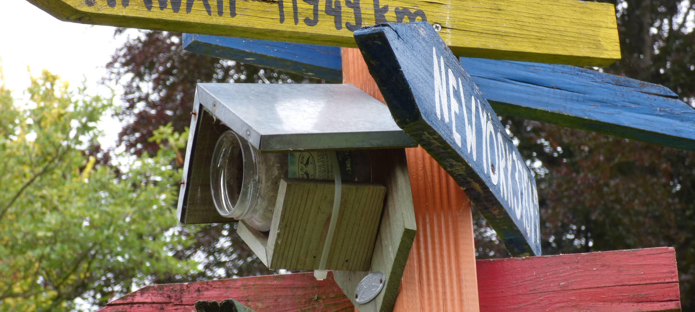 Essens schönste Urlaubs-Oase: Gewinner steht fest!