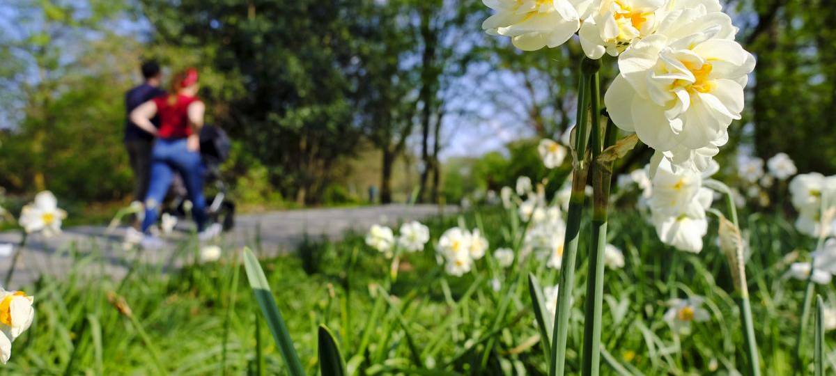 Essen: Große Umbaupläne für die Grünanlage im Hörster Feld