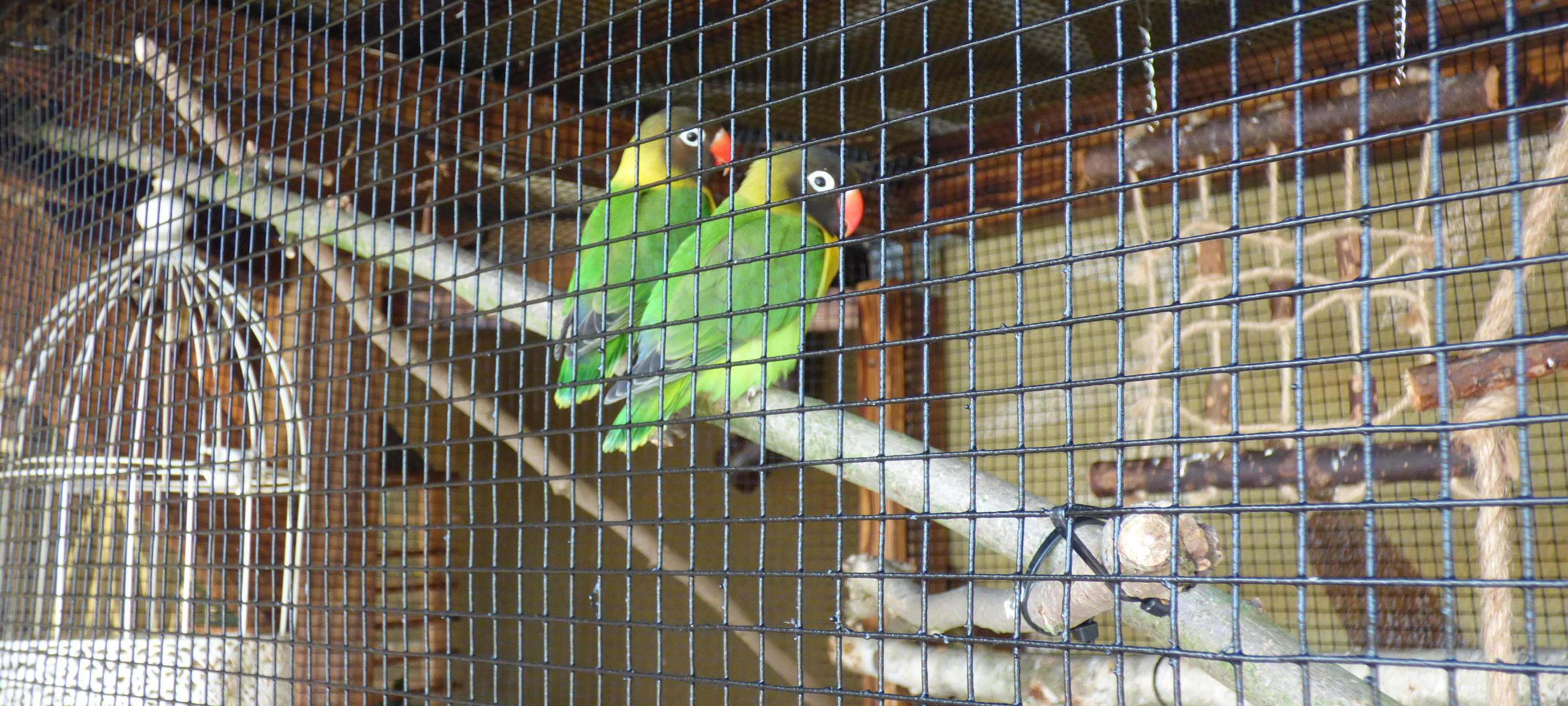 Essens schönste Urlaubs-Oase: Gewinner steht fest!