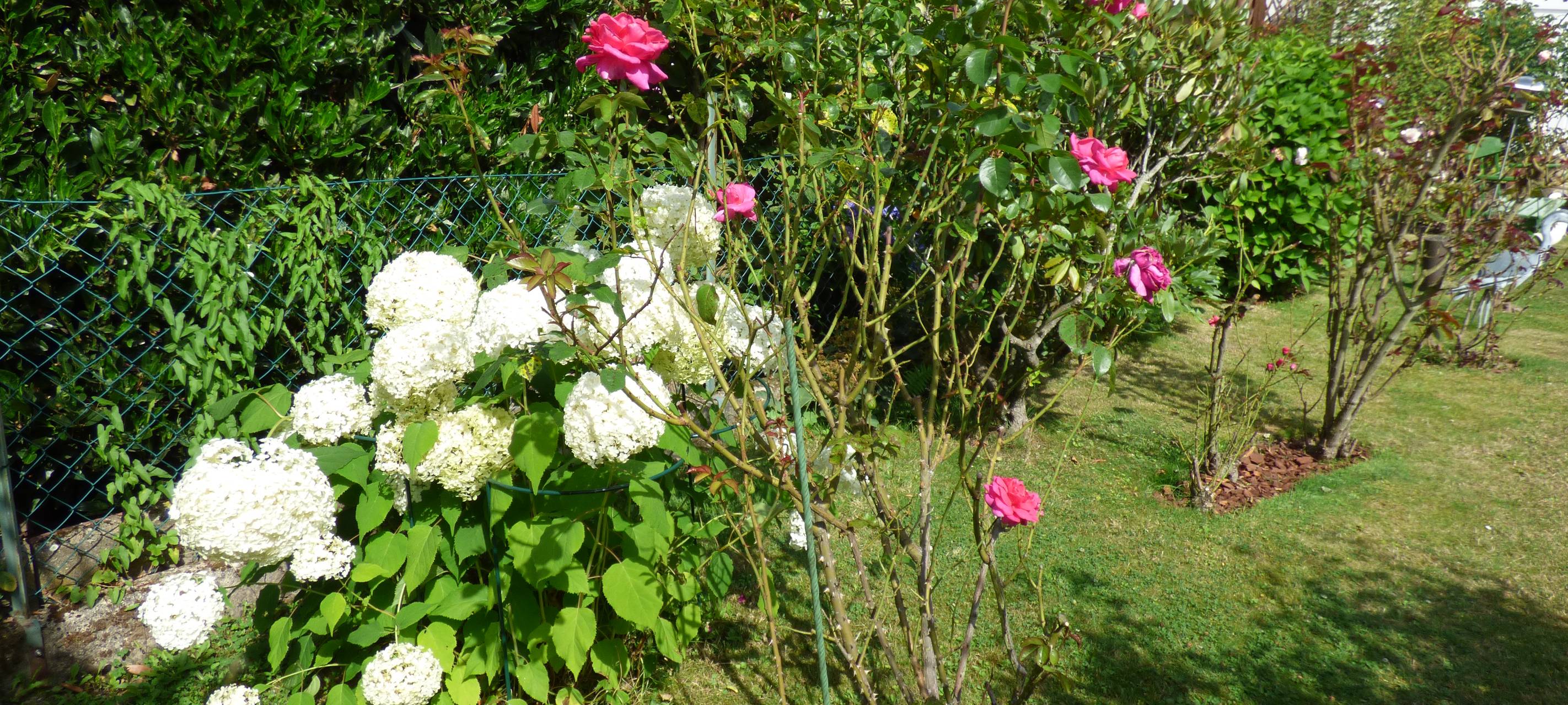 Essens schönste Urlaubs-Oase: Gewinner steht fest!