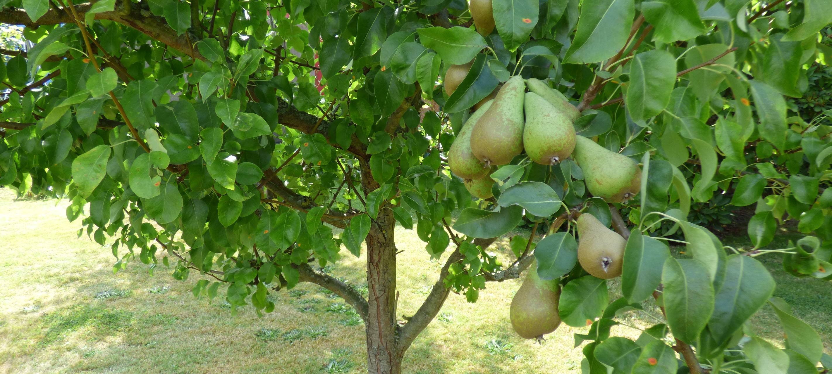 Essens schönste Urlaubs-Oase: Gewinner steht fest!