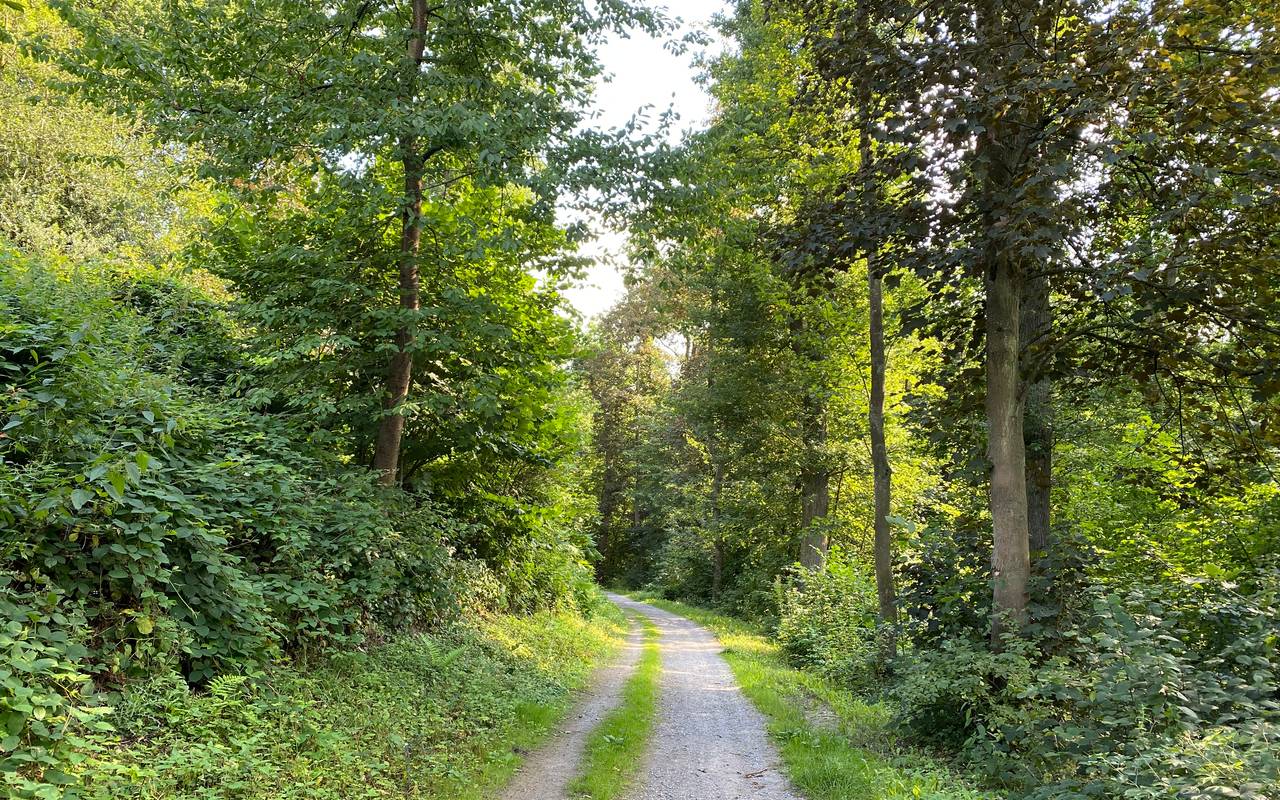 Essen Tiefste Baustelle Sorgt Noch Ein Jahr Fur Krach Grosse Bauarbeiten Radio Essen
