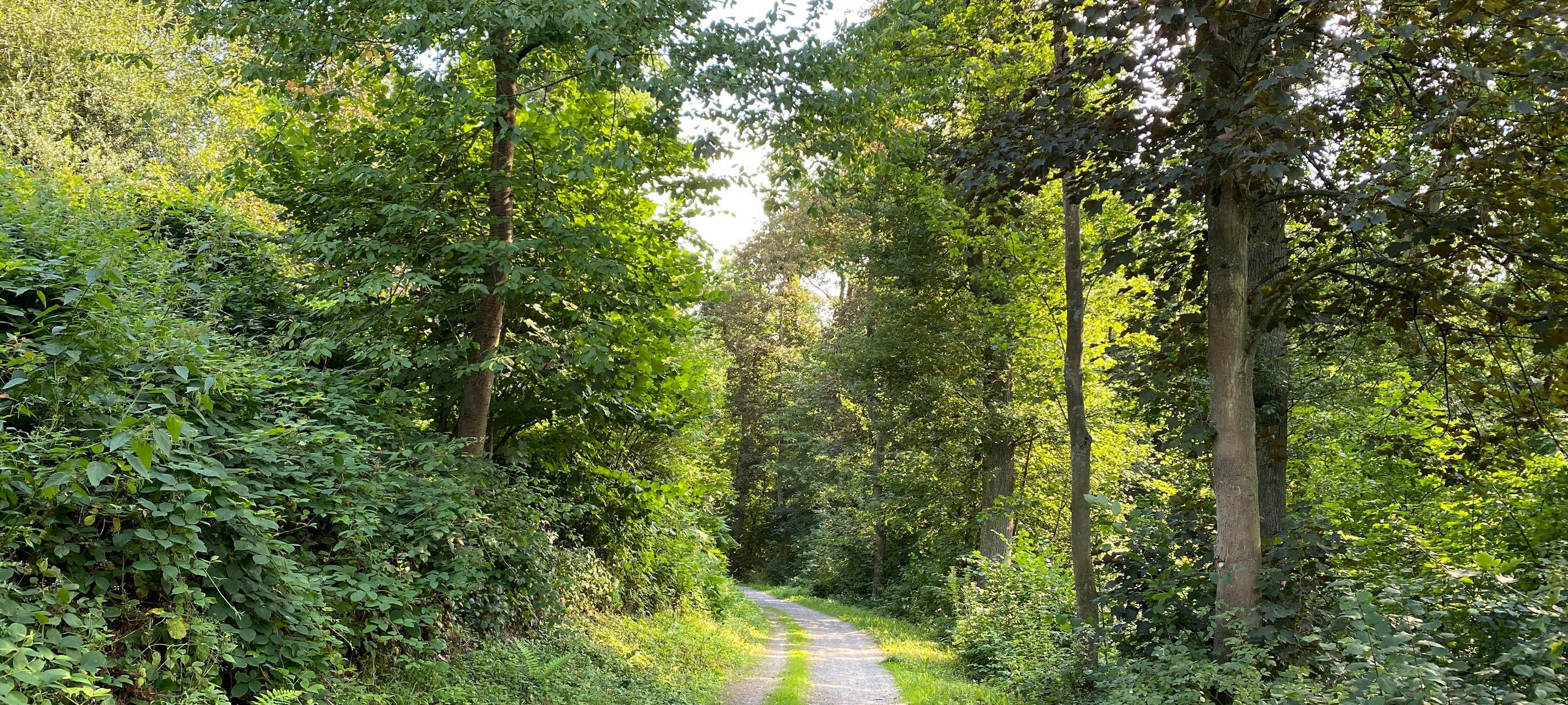Essen: Tiefste Baustelle sorgt noch ein Jahr für Krach