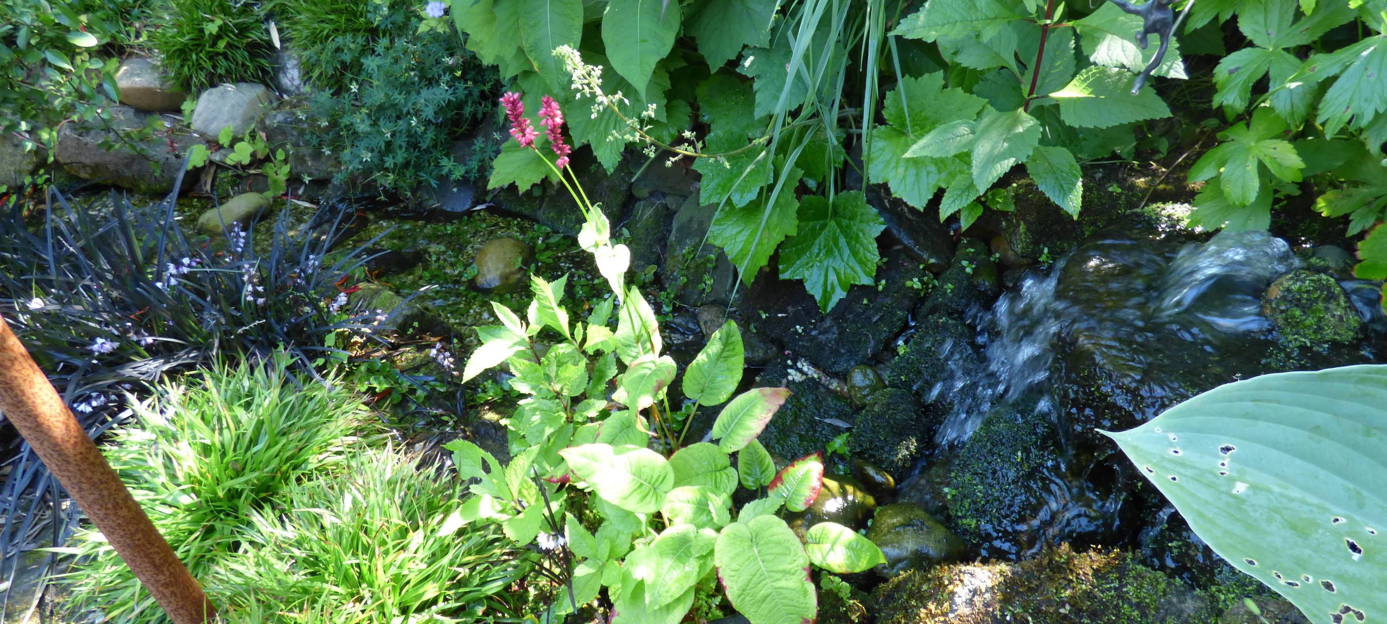 Essens schönste Urlaubs-Oase: Gewinner steht fest!