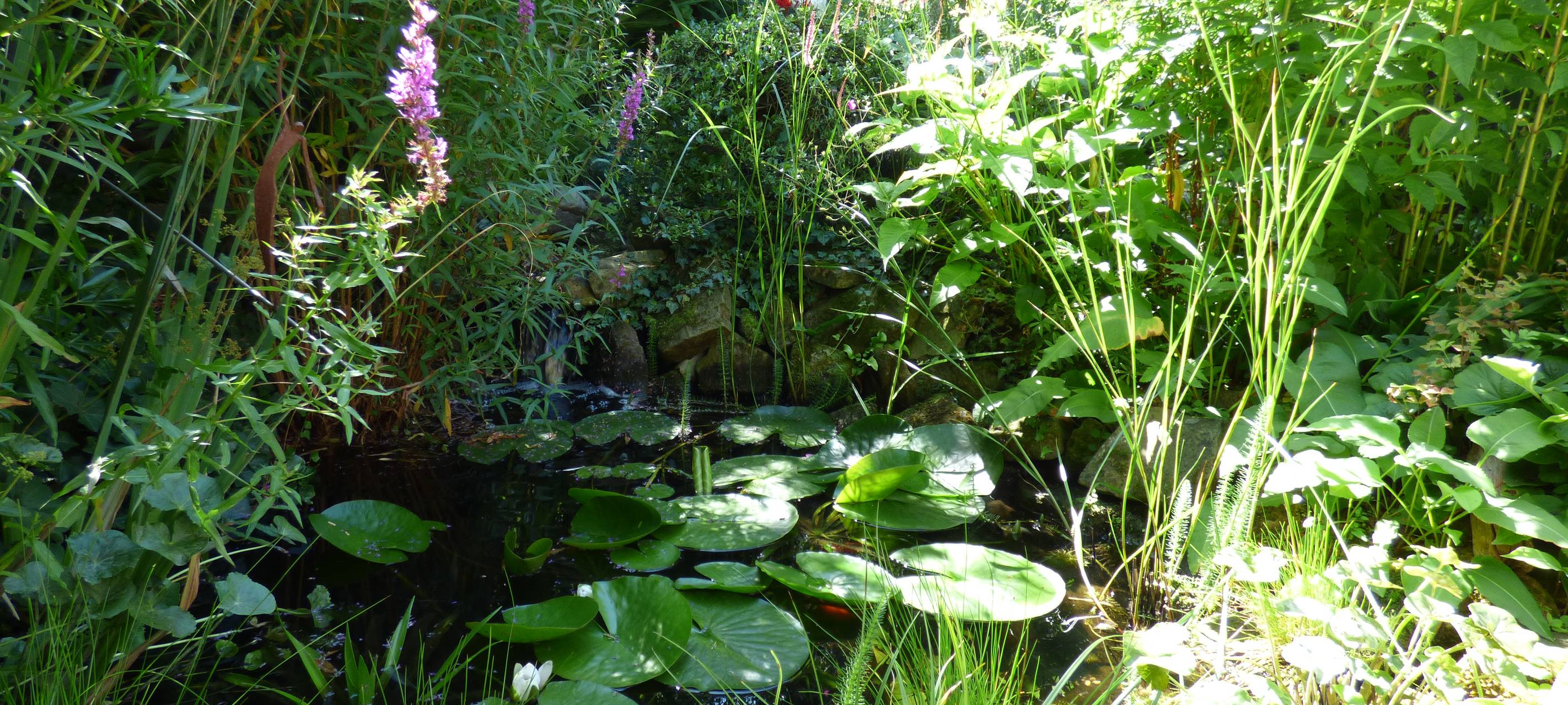 Essens schönste Urlaubs-Oase: Gewinner steht fest!