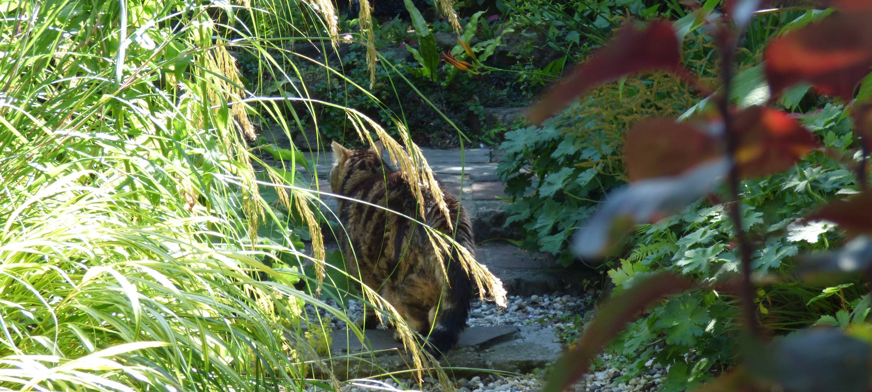 Essens schönste Urlaubs-Oase: Gewinner steht fest!