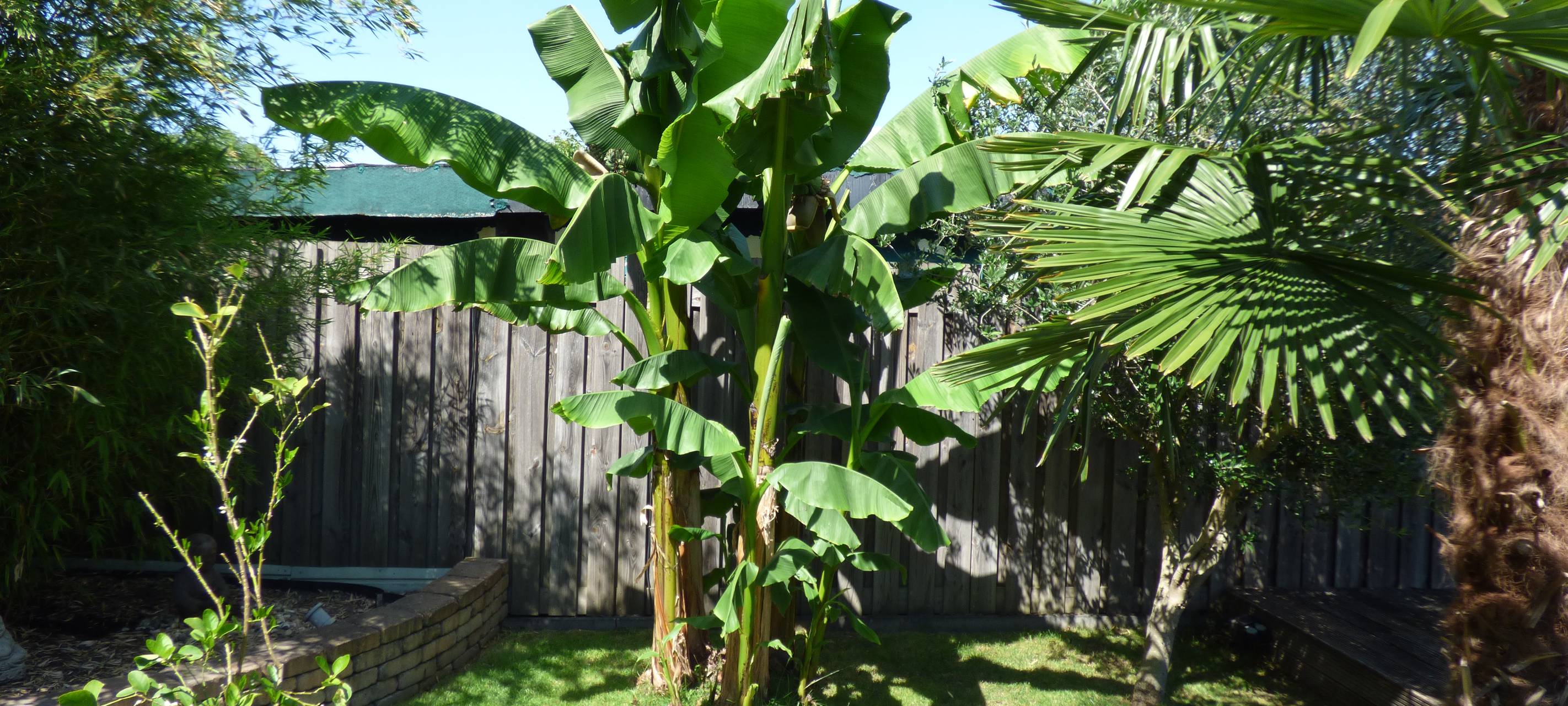 Essens schönste Urlaubs-Oase: Gewinner steht fest!