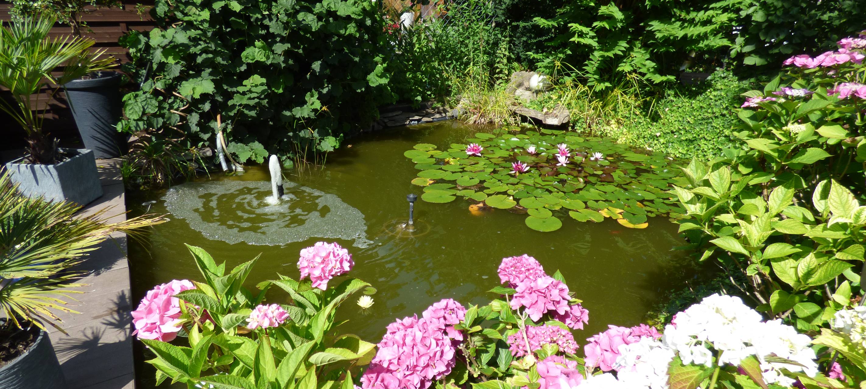 Essens schönste Urlaubs-Oase: Gewinner steht fest!