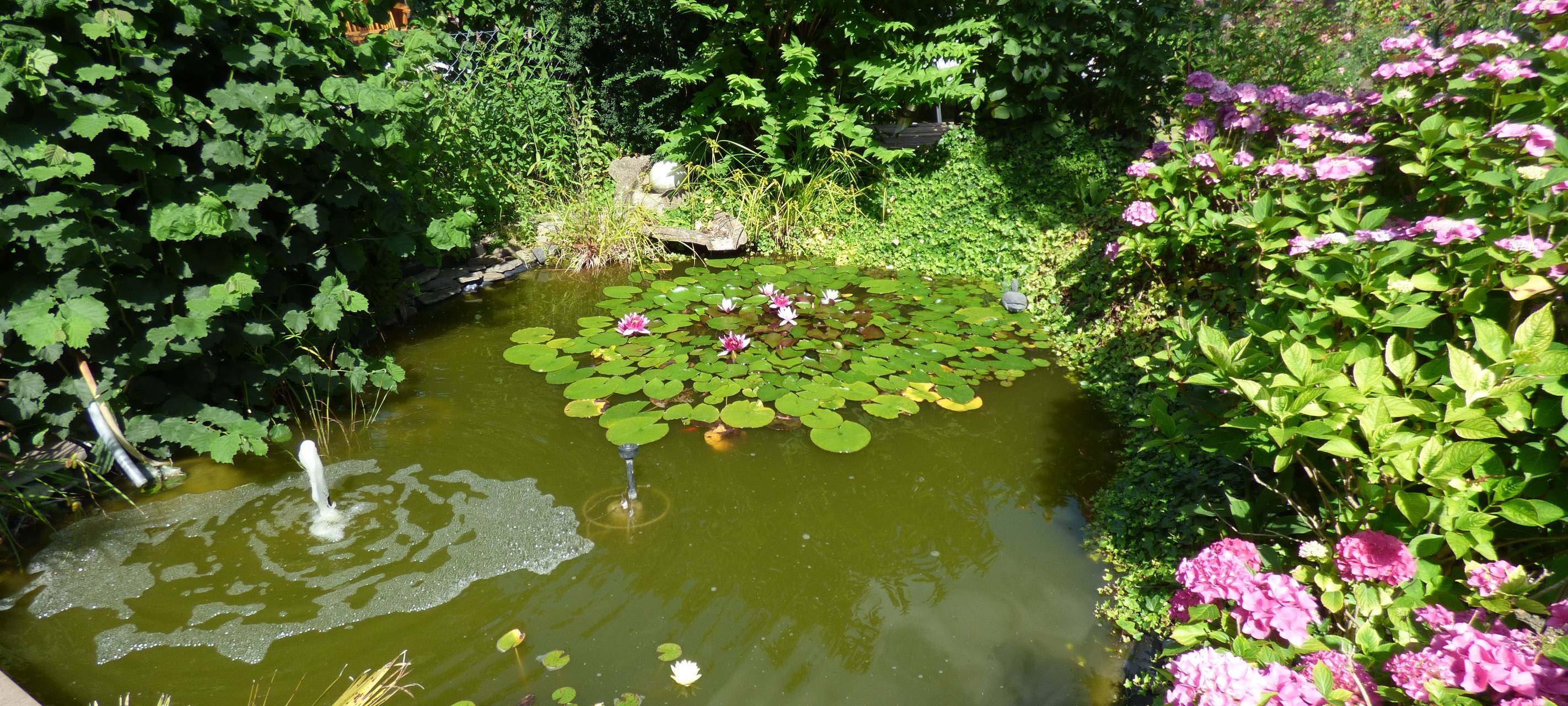 Essens schönste Urlaubs-Oase: Gewinner steht fest!