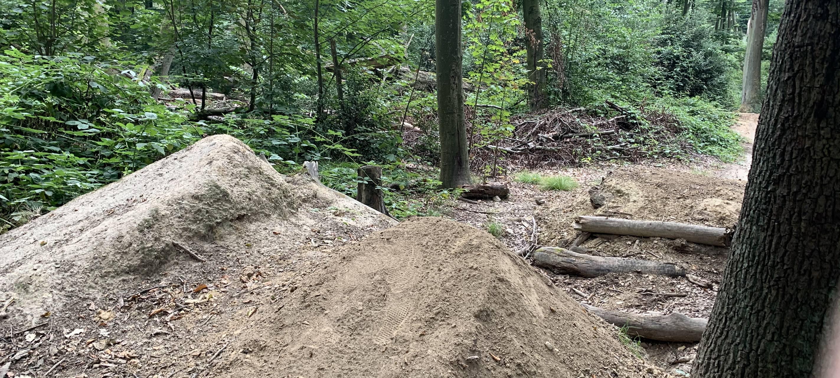 Essen: Streit um illegale Mountainbikestrecke spitzt sich zu