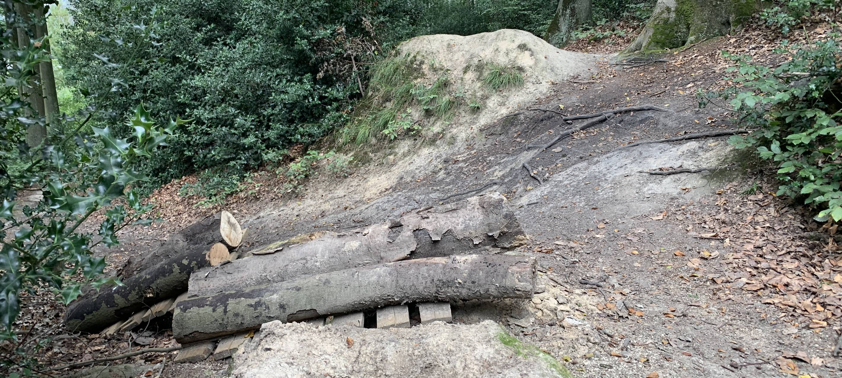 Essen: Streit um illegale Mountainbikestrecke spitzt sich zu
