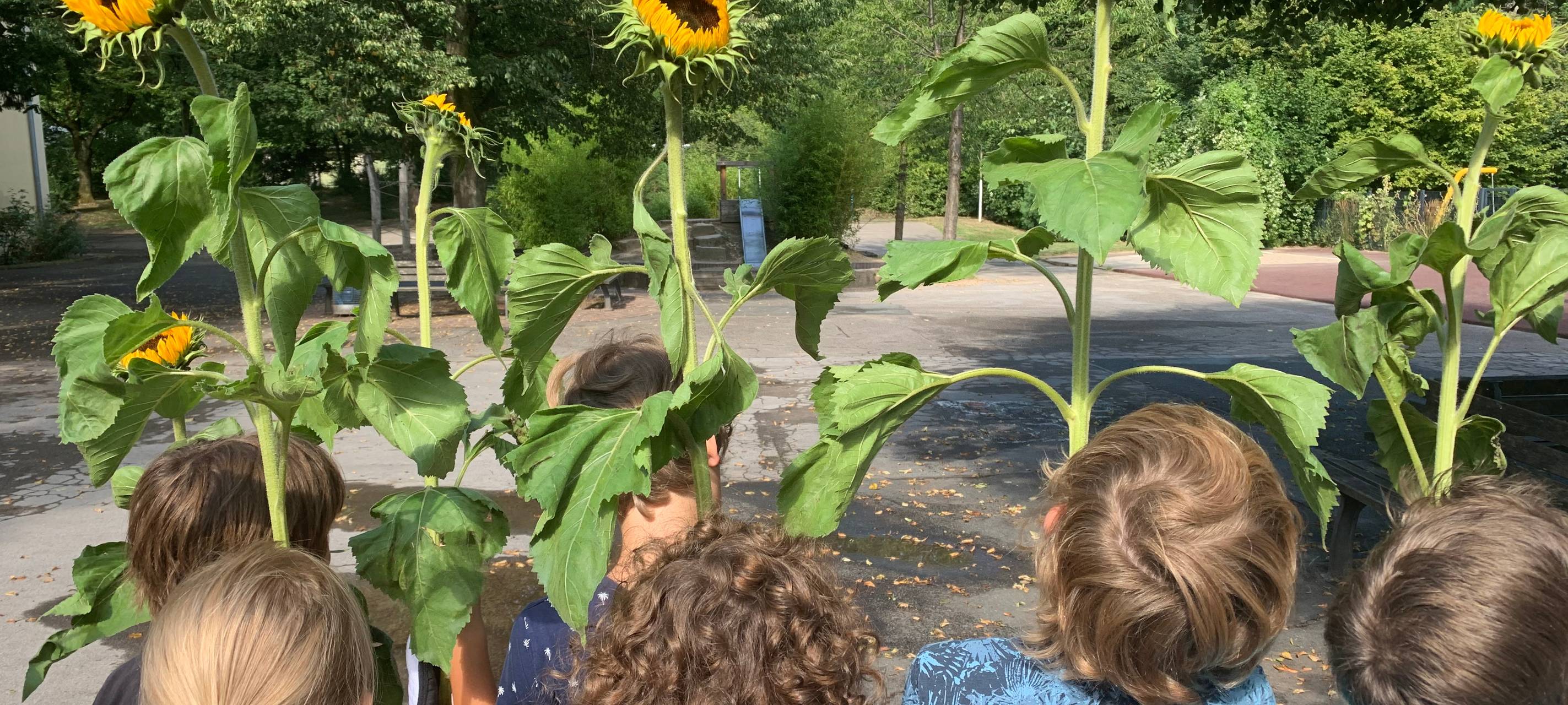 Einschulung in Essen: Besondere Feiern für I-Dötze wegen Corona