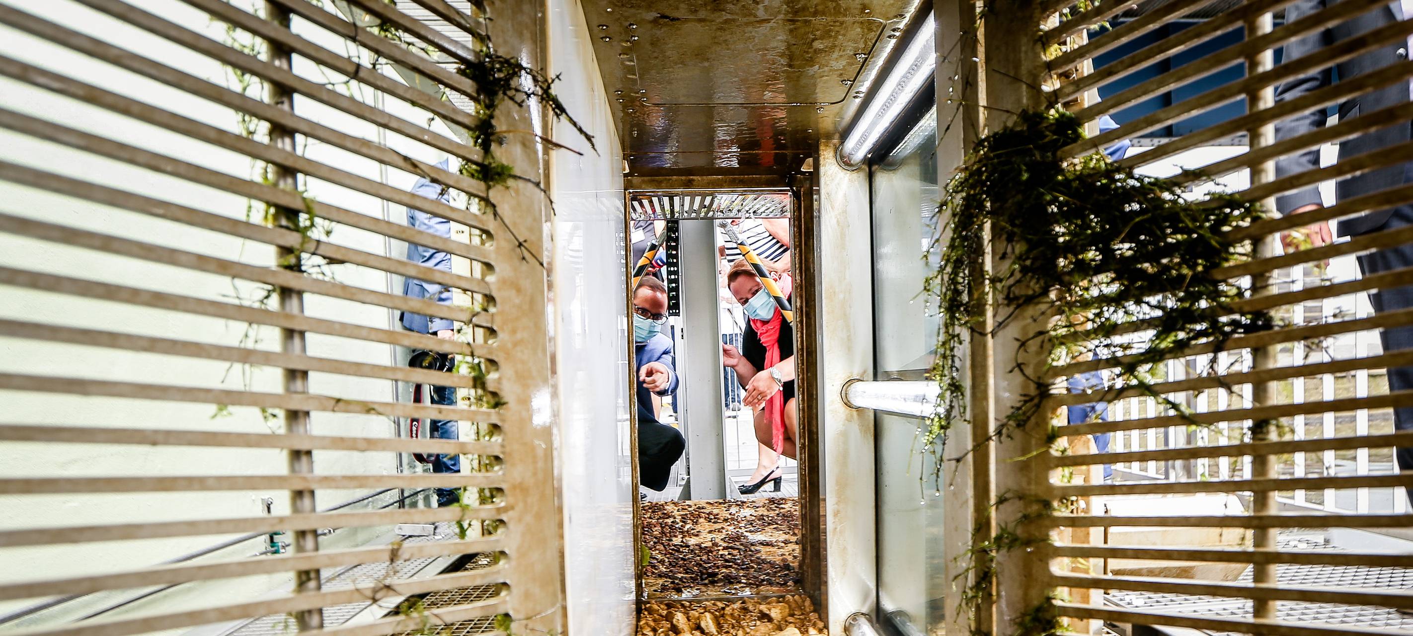 Fischlift Baldeneysee