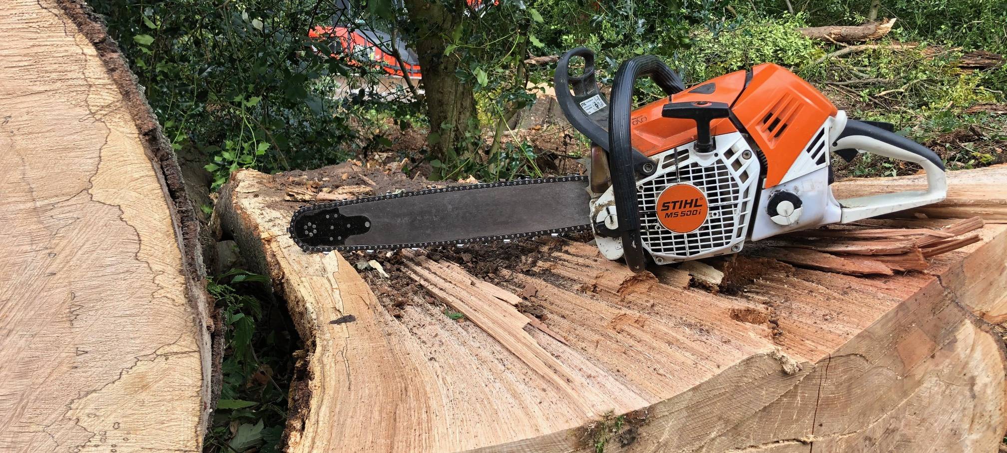 baum-faellen-radio-essen-kettwig